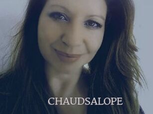 CHAUDSALOPE