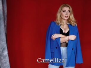 Camelliza