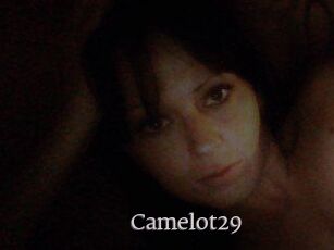 Camelot29