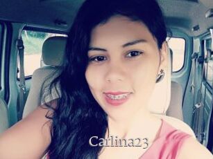 Carlina23
