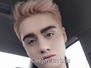 CeeJayTaylorr