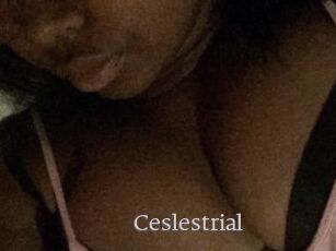 Ceslestrial
