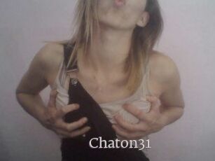 Chaton31
