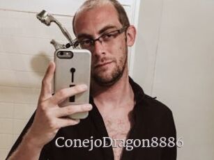 ConejoDragon8886