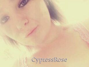 Cypress_Rose