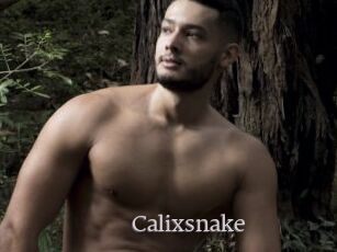 Calixsnake