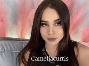 Cameliacurtis