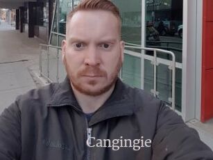 Cangingie