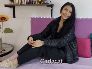 Carlacat