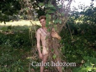 Carlot_hdozom