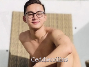 Ceddiecollins