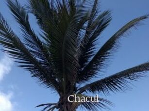 Chacul