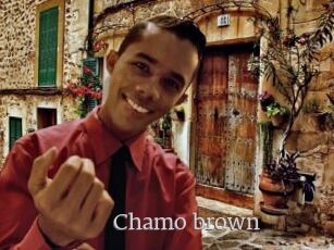 Chamo_brown