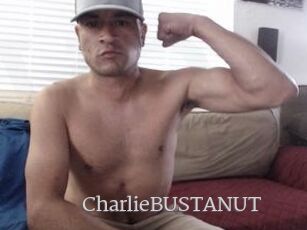 CharlieBUSTANUT