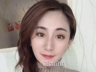 Cibaihu