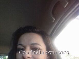 Coccinella-07105003