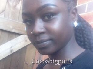 Cocoabigpuffs