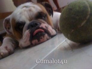 Cumalot4u