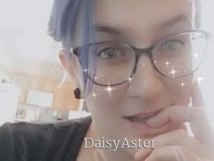 DaisyAster