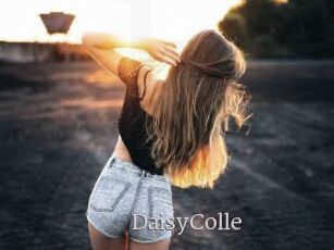 DaisyColle