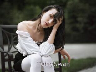 DaisySwan
