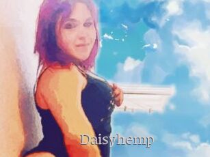 Daisy_hemp