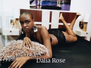 Dalia_Rose