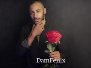 DamFenix