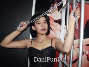 DaniPunish