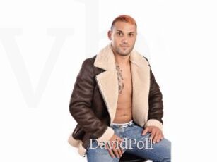 DavidPoll