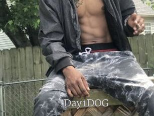 Day1DOG