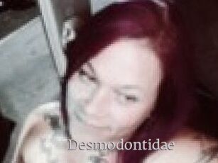 Desmodontidae