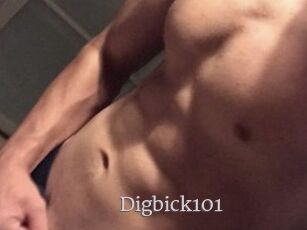 Digbick101