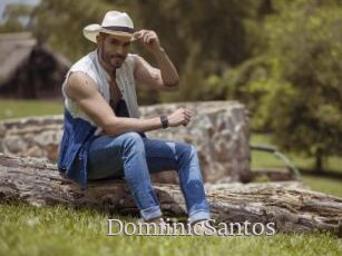 DomiinicSantos