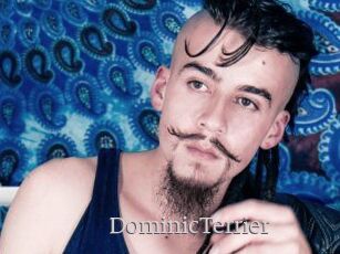 DominicTerrier
