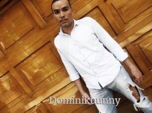 Dominikbunny