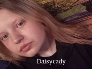 Daisycady
