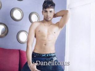 Daneil_torus