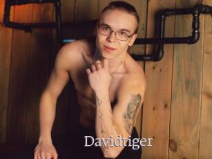 Davidtiger