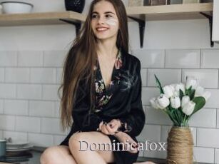 Dominicafox