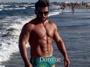 Domluc