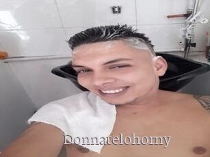 Donnatelohorny