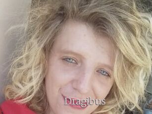Dragibus