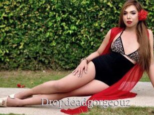 Dropdeadgorgeouz