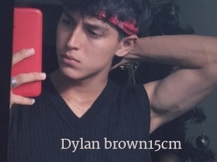 Dylan_brown15cm
