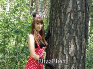 ElizaElect
