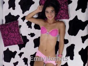 EmilyHornetS