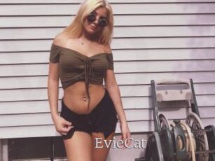 EvieCat