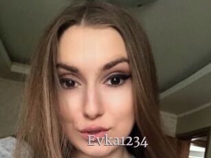 Evka1234