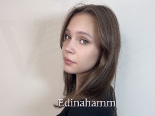 Edinahamm